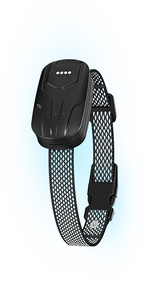 FurFence Wireless Dog Collar Features