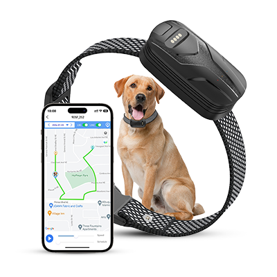 FurFence GPS Dog Collar
