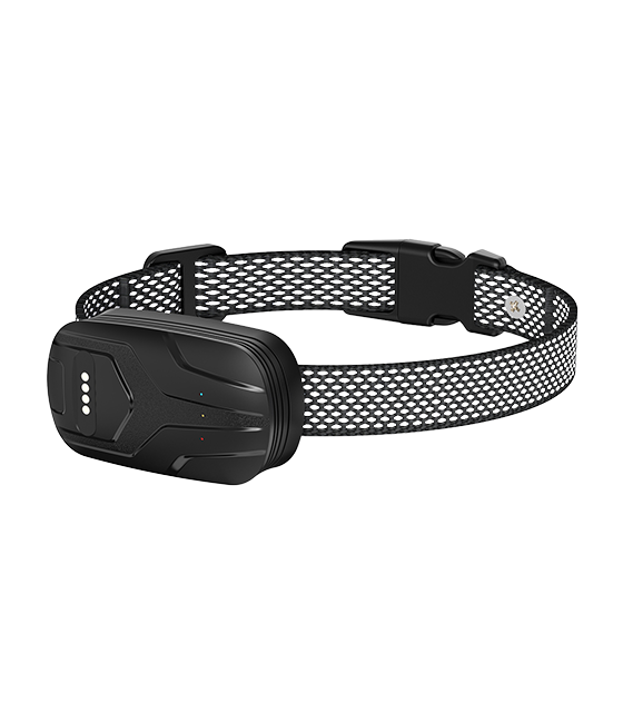 FurFence Wireless Dog Collar